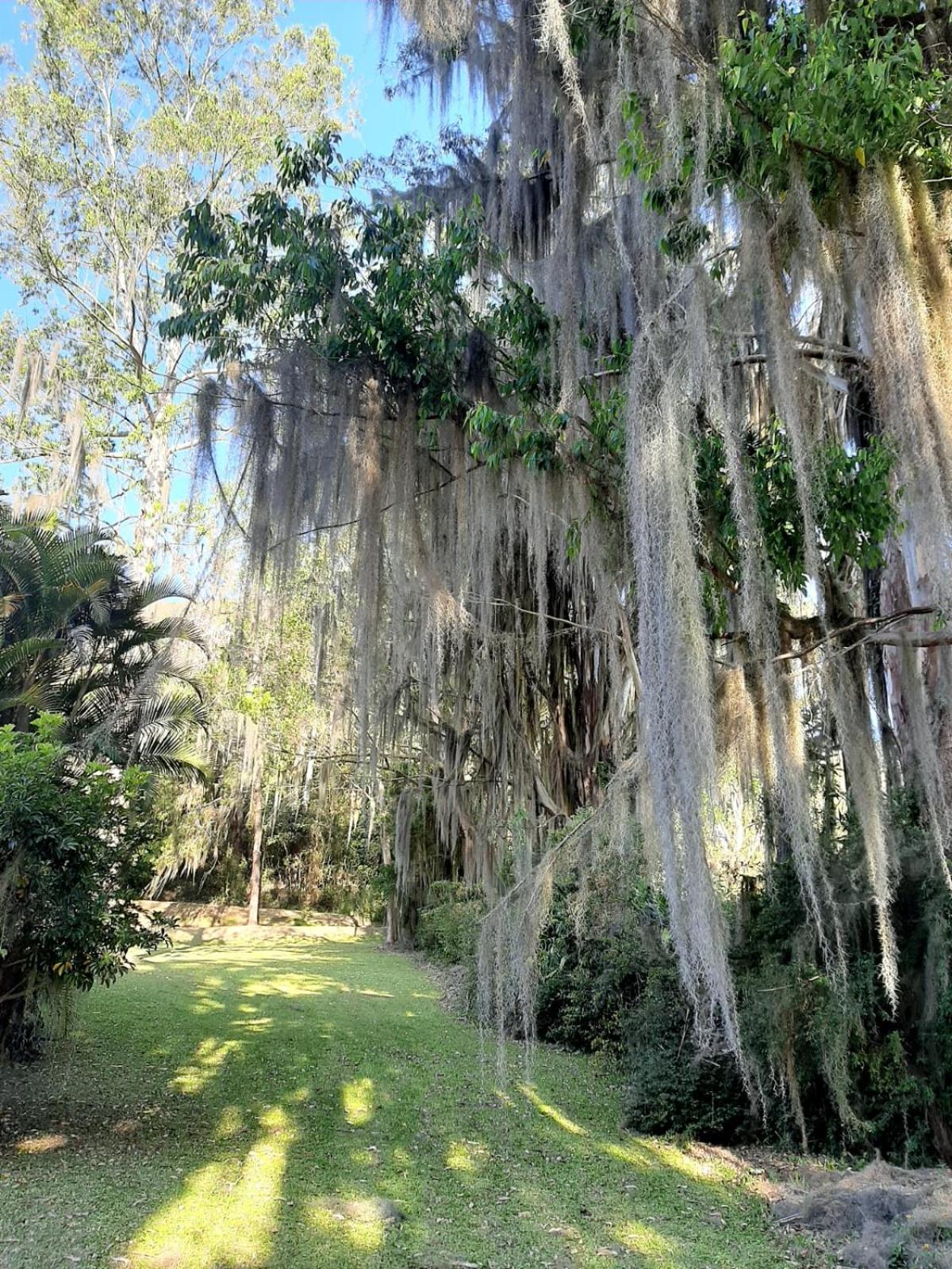 Sitio Riacho Das Pedras 特雷索波利斯 外观 照片